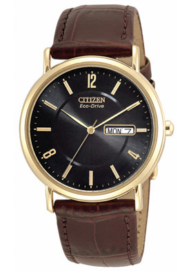 Citizen Men's Leather Strap