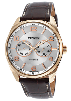 Citizen Men\'s Brown Genuine Leather Silver-Tone Dial