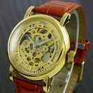 AUTO Mechanical Gold Skeleton Brown Leather Mens Watch WA017